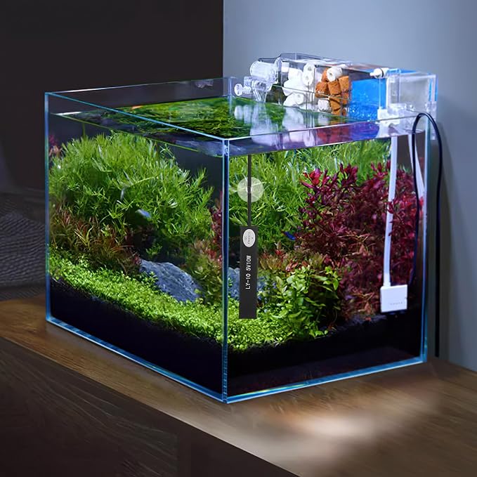 COHEALI Mini Aquarium Heater Small Tank Heater for Betta Fish and Aquatic Turtles 10w USB Abs Material Space Saving Design for 2-5l Turtle Aquariums and Small Betta Fish Tank Setups