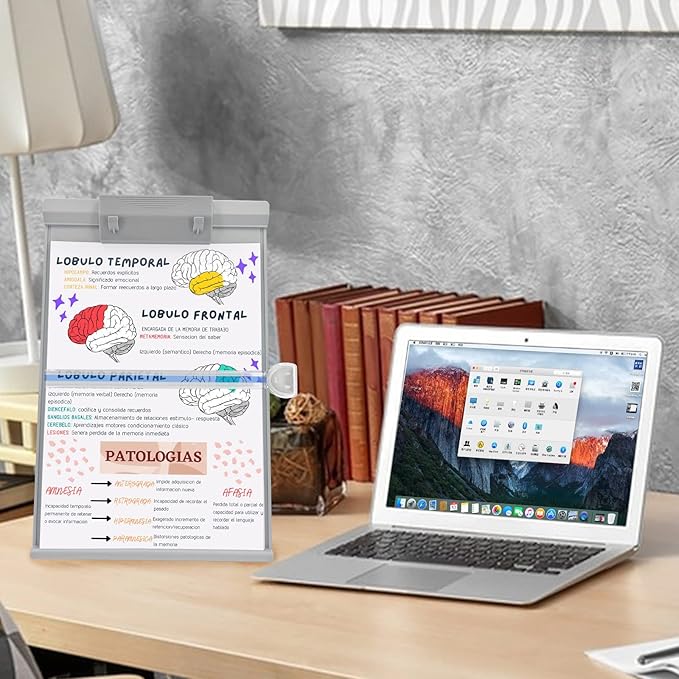 Barelove Document Holder Paper Stand with 7 Adjustable Positions, Grey Paper Holder Stand for Desk When Typing for Reading A4 Letter, Books, Music Sheet, Receipts, Textbooks