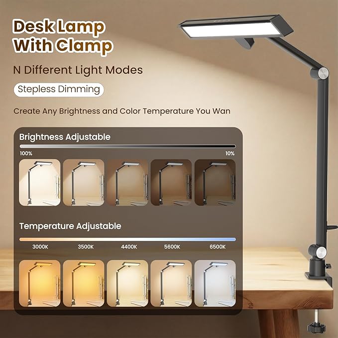 LIONVISON LED Desk Lamp for Home Office, Eye-Caring Desk Light with 2 in 1 Base/Clamp, Adjustable 5 Color 10 Brightness Computer Light with Memory & Timer Func, Metal Swing Arm Anti-Glare Table Lamp