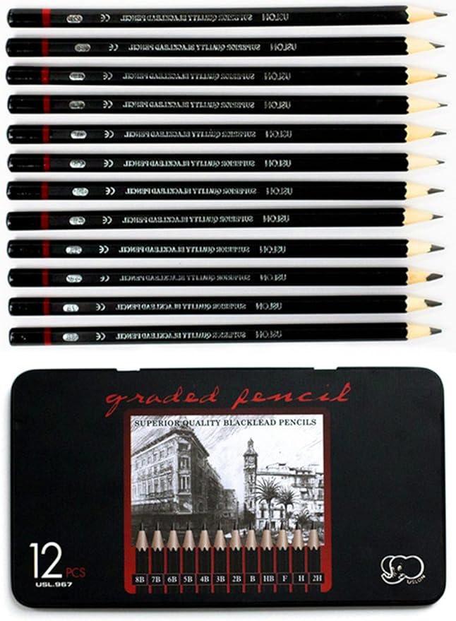 Professional Sketch pencils Drawing pencils set for Kids and Adults,Art sketching pencils for Artists Beginner(8B-2H).(12-Count)