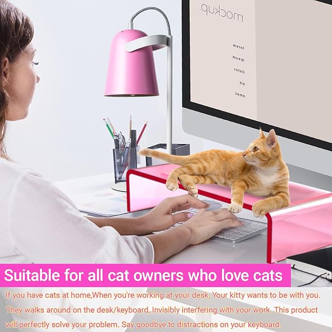 Ergonomic Acrylic Monitor Stand with Storage - Bright Pink Desktop Organizer for Back Pain Relief & Space Saving, Stylish & Modern Desktop Organizer(Home/Office Use)