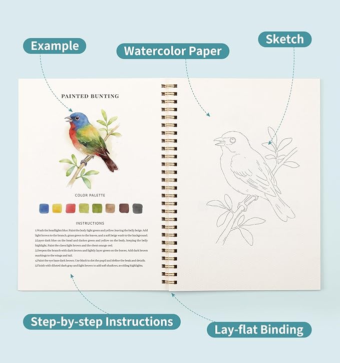 Watercolor Workbook Birds, Water Coloring Book, 12 Different Patterns of Original DIY Designs, 50 Colors Watercolor Paint Set with Palette and Brush, Beginner-Friendly Watercolor Workbooks (Birds)