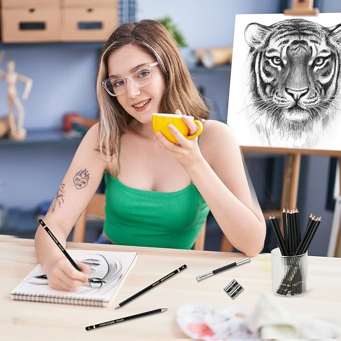 Drawing Sketching Pencil Set 21 Pack Art Pencil Kit with Graphite Pencils (14B-5H), Charcoal Pencil, Ideal for Shading, Blending, Drawing Set for Beginners & Pro Artists