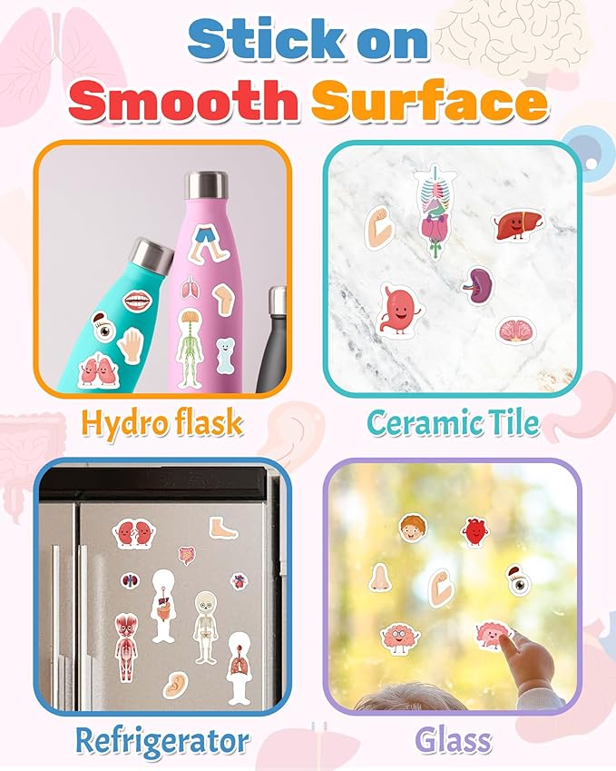 Benresive Reusable Sticker Book for Toddlers, Travel Stickers for Kids, Toddler Crafts Activities Toys, Birthday Gifts for Boys & Girls - My Body