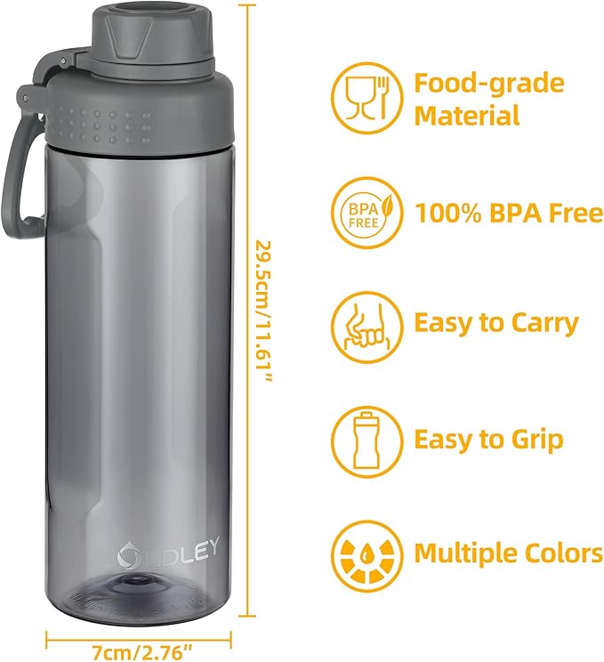 OLDLEY Water Bottles 20oz BPA Free Tritan Water Bottle with Carry Handle and Spout Lid, Leakproof Kids Water Bottle for Home,Travel, School, Outdoors, Gray