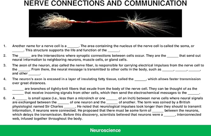 2026 AP Psychology Test Flashcards