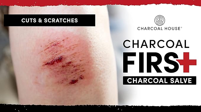 Charcoal First Activated Charcoal Salve Stick by Charcoal House - 100% Natural, Non-GMO Activated Carbon: Soothes Cuts,Bruises, Minor Burns, Bites & Itches - 0.15oz