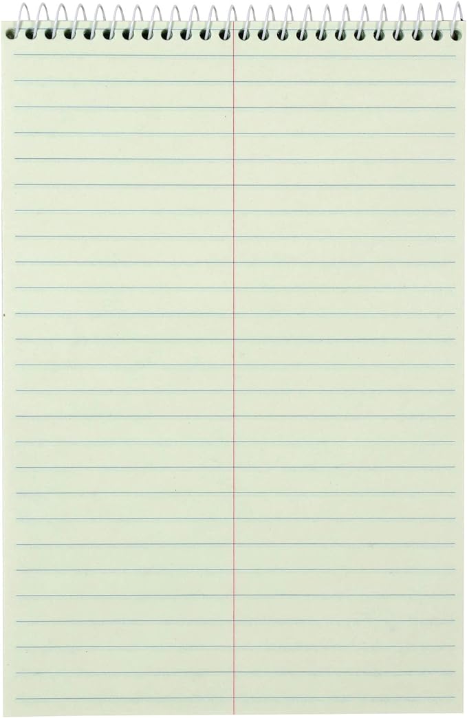 Amazon Basics Steno Notebooks, Gregg Rule, Green Paper for Notes, 80 Sheets, 6" x 9", 12-Pack