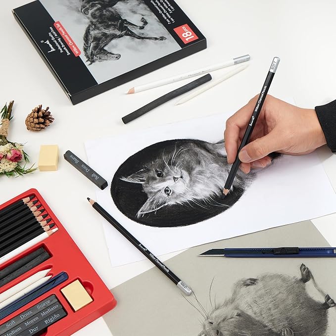 Brusarth Charcoal Pencils for Drawing, 18 Pcs Art Pencil Kit, Professional Sketching Pencil, Art Supplies for Drawing, Shading, Sketching, Blending, Artist Pencils for Beginners & Artists