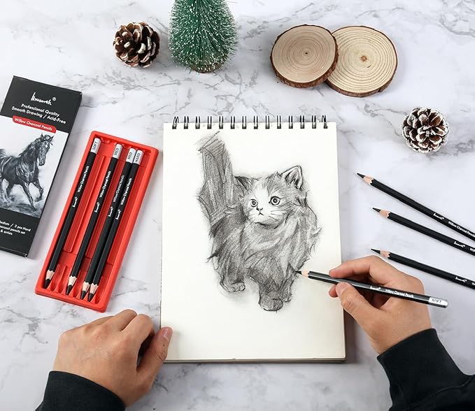 Brusarth Professional Charcoal Pencils Drawing Set - 8 Pieces Soft Medium and Hard Willow Charcoal Pencils for Drawing, Sketching, Shading