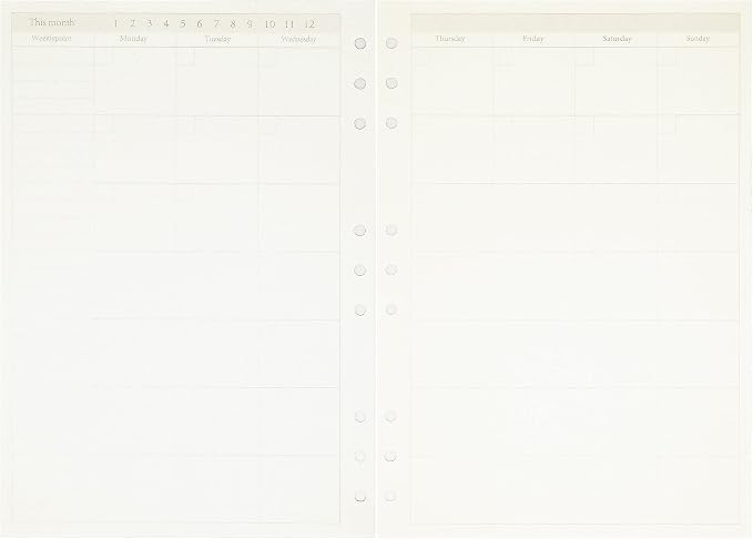 Zelten 1 Pack B5 45 Sheets/90 Pages Monthly Planner Loose Leaf Punched Paper Refills Paper for 9 Hole Binder Personal Organizer Diary Notebook Refillable Planner