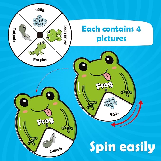 Kasfalci Life Cycle Toys for Kids,Animal Plant Insect Bug Ladybug Butterfly Tadpole to Frog Kit,Montessori Learning & Education Toys,Preschool Science Learning Activities for Toddlers,Board Card Games