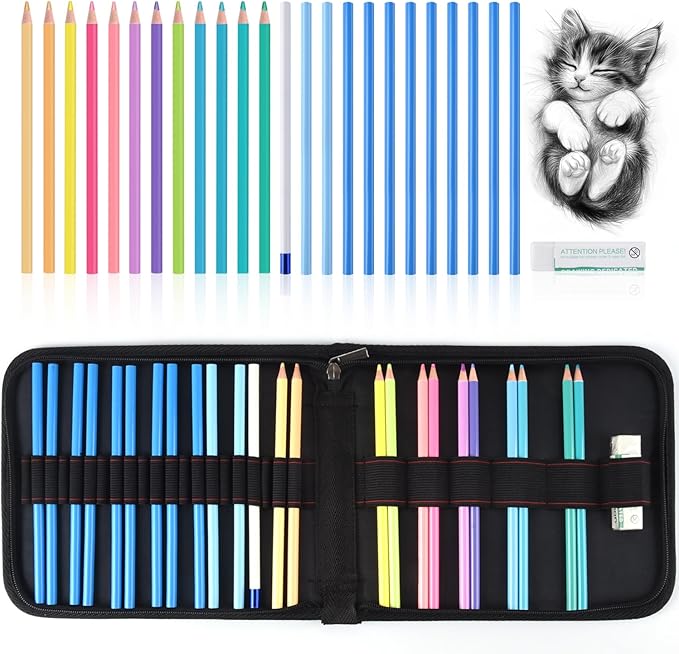 Mifuner Professional Drawing Set, 12 Colored Pencils & 12 Graphite Pencils with Eraser & Case, Art Supplies for Sketching Shading Blending, Gifts for Artists Adults Beginners.Macaron Black