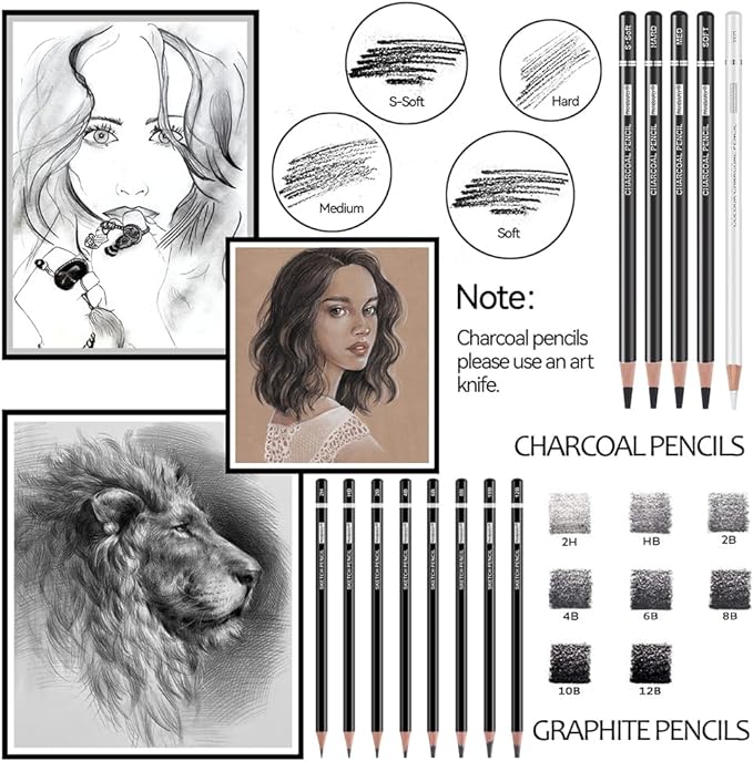 PANDAFLY Drawing Sketching Pencil Set, 22 Piece Pro Art Pencil Kit - Graphite Pencils (12B-2H), Black and White Charcoal Pencils, Charcoal Sticks, Stumps, Eraser, Sharpeners