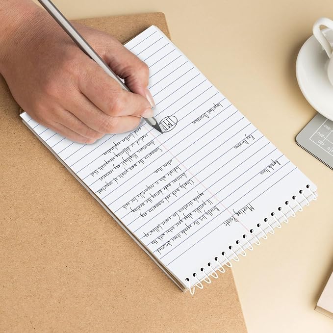 Rosmonde Bulk Steno Pads, 48 Pack, 6x9 Gregg Ruled Steno Book, 80 Sheets