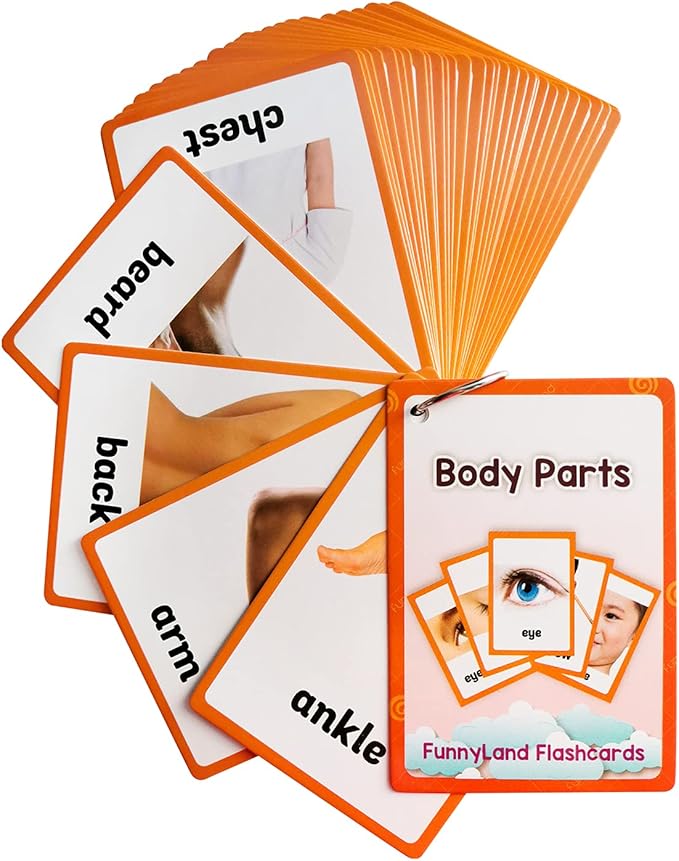 Lilias Body Parts Flash Cards, Toddler & Preschool Learning Toys, Kindergarten Learning Supplies, 4.3 x 3.14 Inch, 34 Cards