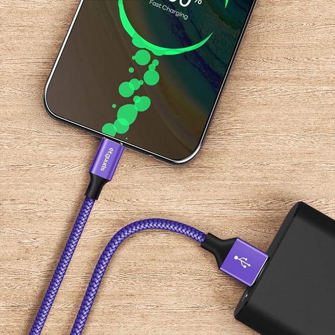 etguuds Purple Long USB A to USB C Cable 10ft, 2-Pack Fast Charging Type C Charger Cord for iPhone 17 16 15 Pro Max Plus Air 16e, Samsung Galaxy S25 S24 S23 S22 S21 S20 Note 20 A17 A16 A15 A26 A36 A56