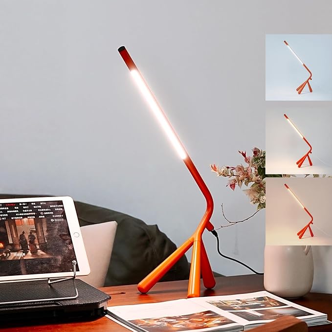 LED Creative Desk Lamp with USB Tybe-c Stepless Dimmable Eye Caring Desk Light for Home Office Bedroom Bedside College Dorm, Reading Lamp,Decorative Gift Table Lamp Red Orange