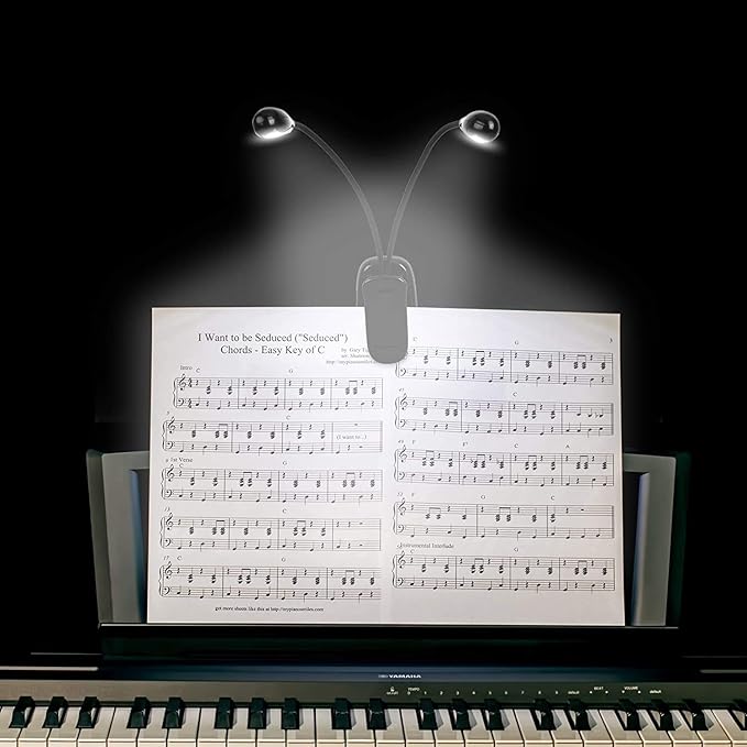 2 Pack Music Stand Light, Clip on Piano Light, USB and AAA Battery Operated, Eye Caring LED Book Lights, 2 Arm x 2 Brightness Levels, Ideal for Piano, Sheet Music, Orchestra, Guitar