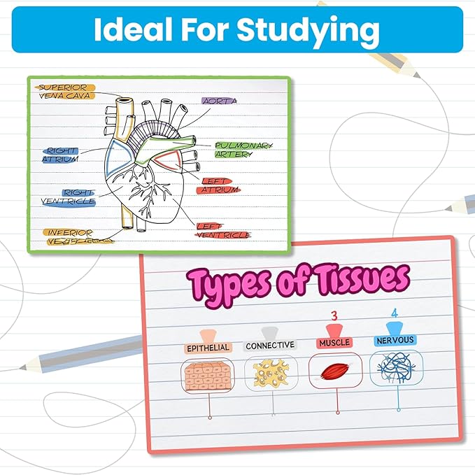 Oxford Ruled Index Cards 4"x6" (5 Packs of 100) & 3"x5" Cards (1 Pack of 300) - White, Lined on One Side, Blank on the Other - Ideal for Study Flashcards, Note Cards, Recipes, To-Do Lists & More