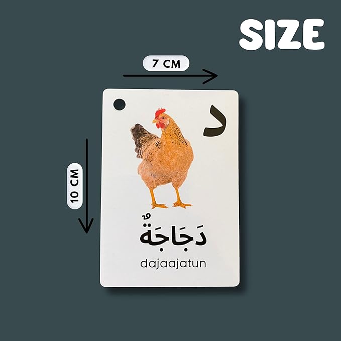 Arabic Alphabet Flash Cards for Kids Toddler and Adults, Arabic First Words, Letter Recognition, Homeschool Learning, Arabic Teacher