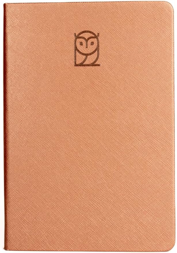 Wyze Planner Undated Daily Planner – 6-Month A5 Productivity Organizer with Full Page Per Day, ADHD Friendly, Hourly Schedule, Goal Setting, Habit Tracker, Weekly & Monthly Pages – Hardcover Time Management Notebook (Rose Gold)