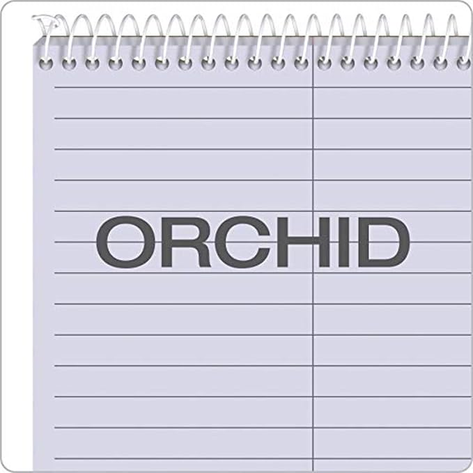 Tops Gregg Prism Steno Notebooks (TOP80264) 6" x 9"