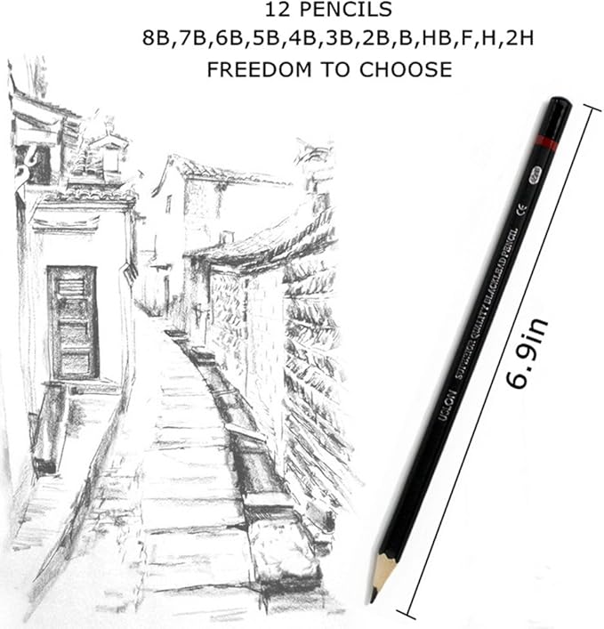 Professional Sketch pencils Drawing pencils set for Kids and Adults,Art sketching pencils for Artists Beginner(8B-2H).(24-Count)