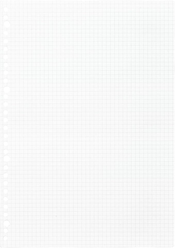 Maruman 30-Hole Loose Leaf Grid Sheets, A4, 8.27" x 11.69", 5mm Graph Paper Refill, 100 Sheets, Compatible With Maruman Session and Five Chart Binders, Made in Japan