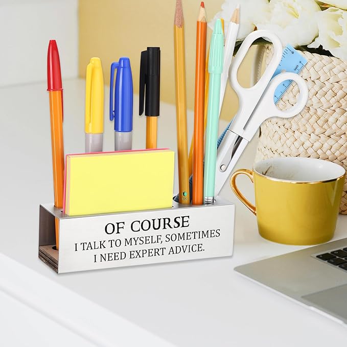 Of Course I Talk to Myself Sometimes I Need Expert Advice,Sarcastic Office Humor Gift for Coworkers Professionals Entrepreneurs, Office Pencil Holder for Desk SD287
