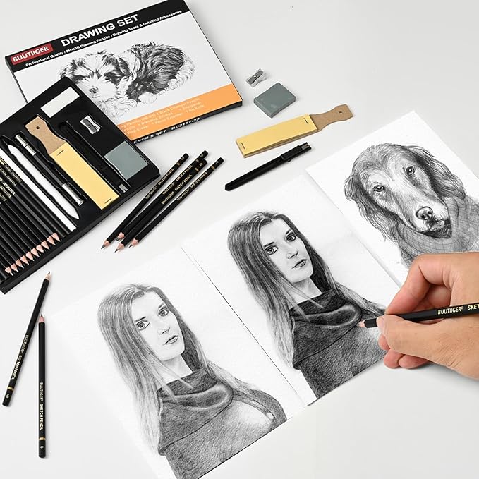 22-Piece Drawing kit Sketch Pencils Set - Graphite Pencils (6H-10B) Black and White Charcoal Pencil Charcoal Sticks - Drawing Pencil Kit for Artists Adults Teens Beginner, Ideal for Shading, Blending