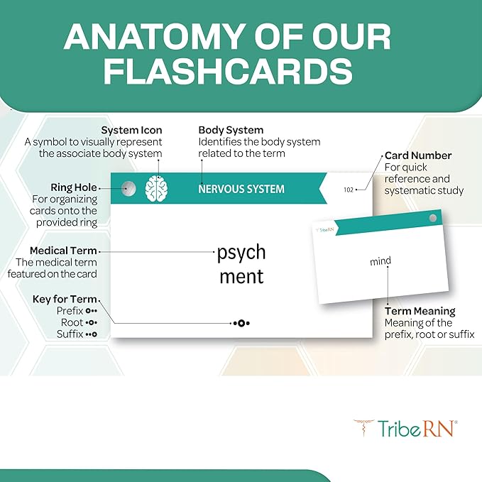 500 Double-Sided Professional Terminology flashcards for Nursing and Medical Students - Includes Easy to use Color-Coded Study Tool with Sorting Ring and Access to Complementary Resource Library