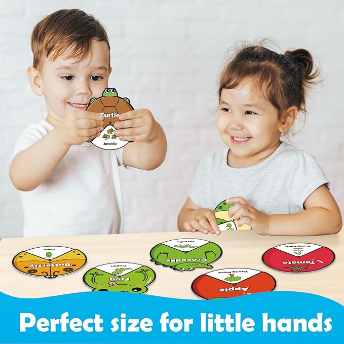 Kasfalci Life Cycle Toys for Kids,Animal Plant Insect Bug Ladybug Butterfly Tadpole to Frog Kit,Montessori Learning & Education Toys,Preschool Science Learning Activities for Toddlers,Board Card Games