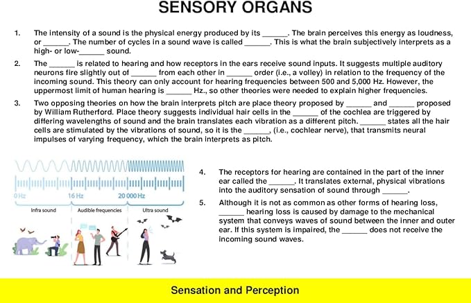 2026 AP Psychology Test Flashcards