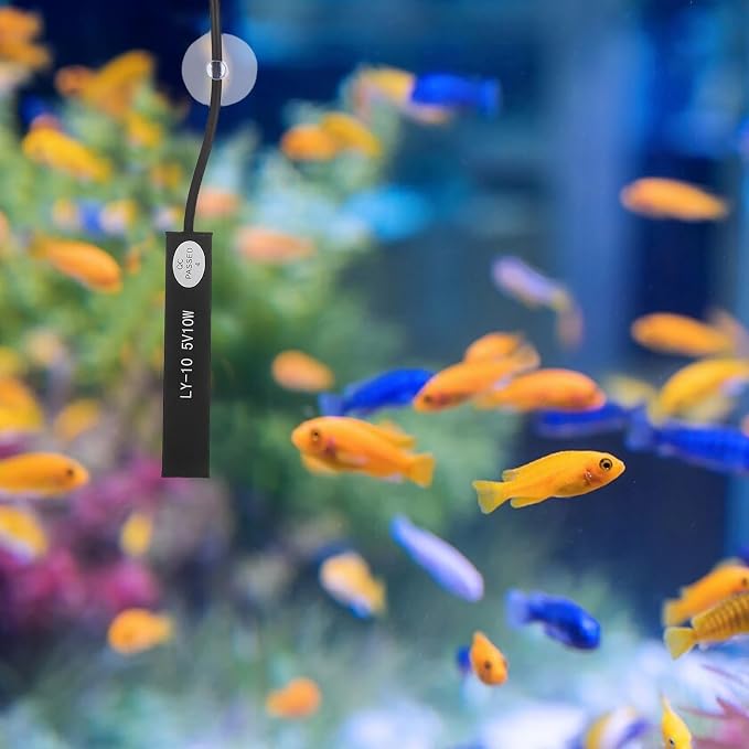 COHEALI Mini Aquarium Heater Small Tank Heater for Betta Fish and Aquatic Turtles 10w USB Abs Material Space Saving Design for 2-5l Turtle Aquariums and Small Betta Fish Tank Setups