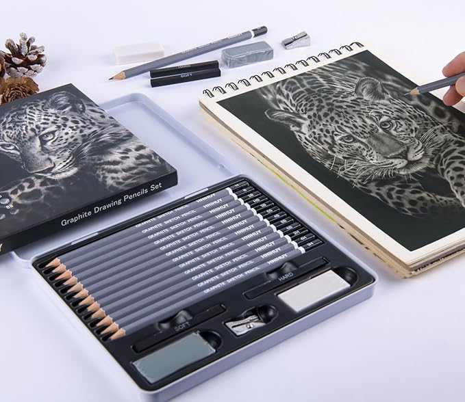 HNIHUY Professional Sketch Pencils Set, 17 Pcs, Graphite Pencils (8B-4H), Erasers and Sharpener, Art Drawing Pencil for Artists Beginner Sketching