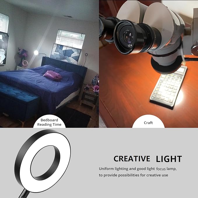 Woputne Desk Clip on Lamp for Reading Home Office, with 5V 2A Adapter, 10 Dimmable Brightness 3 Modes, Clamp Reading Light for Bed Headboard, Craft (Black)…