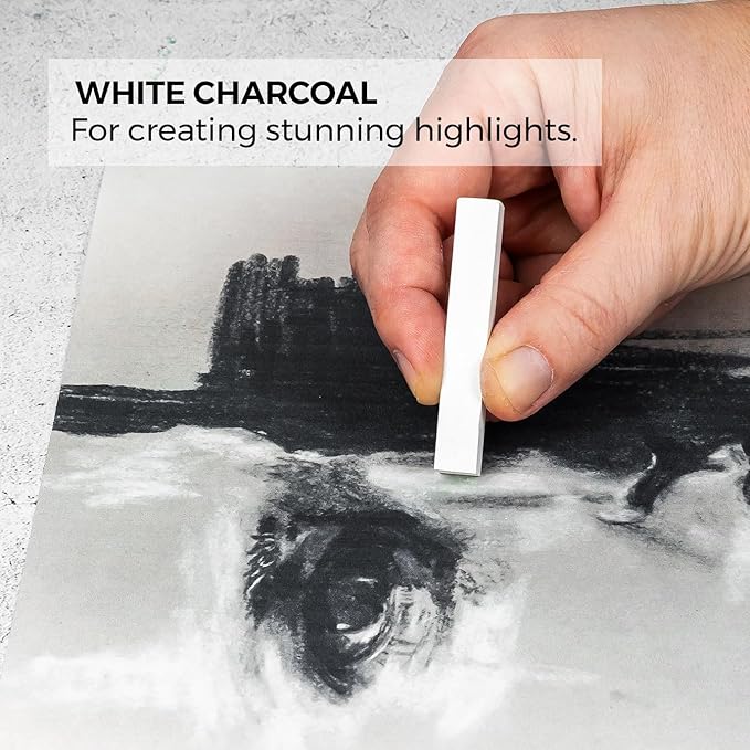 Zieler Artists Charcoal Drawing Set | 24-piece Gift Tin Set | The Ideal Starter Set