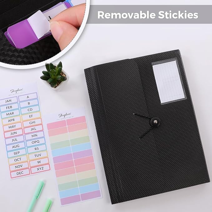 SKYDUE Expanding File Folder, Accordion File Organizer with 13 Pockets for A4/Letter Sized Paper, Accordion Folder with Labels - Document Receipt Organizer for Office, School, Home