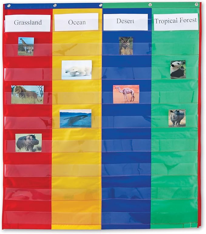 Learning Resources 2- & 4-Column Double-Sided Pocket Chart - Wall Pocket Chart for Classroom, Sentence Strips Charts for Classroom, Hanging Word Wall Pockets for Teachers
