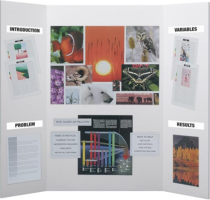 Flipside Products Science Fair Project Board Kit – 36" x 48" White Trifold Boards with Black Science Fair Title Letters – Ready-to-Use Project Display Boards - 2 Pack