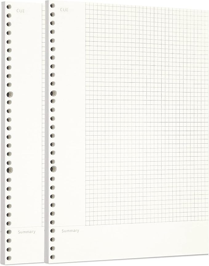 Zelten 2 Pack A4 120 Sheets/240 Pages Connell Loose Leaf Punched Paper Refills Paper for 30 Hole Binder Personal Organizer Diary Notebook Refillable Planner