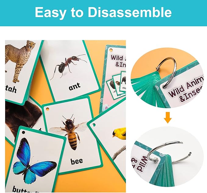 Lilias Wild Animals & Insects Flash Cards, Toddler Learning Toys, Preschool Learning Toys, Homeschool Supplies, Learning Supplies for Kindergarten, 4.3 X 3.14 Inch, 48 Cards in Set