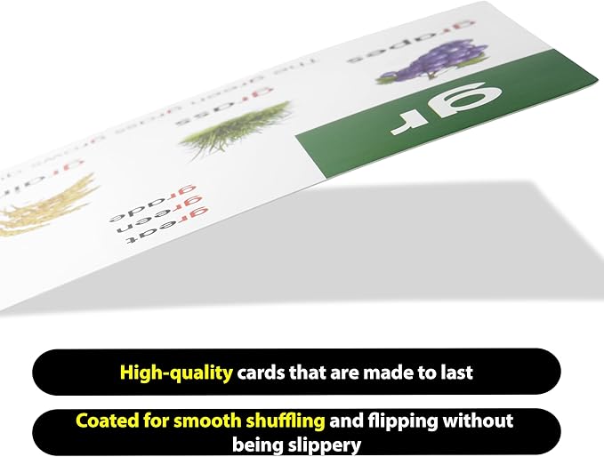 Award-Winning Phonics & Vocabulary Flash Cards (1000+ Words w/Prefixes, Suffixes & CVC) incl. Games & Visual Aids for Ages 4-8, Pre-K to 3rd Grade