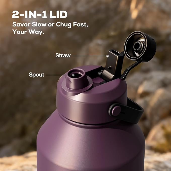 POWCAN 64 oz Insulated Water Bottle with 2-in-1 Straw & Spout Lid, Leakproof, Top Handle, Keep Cold 48H, BPA-Free, Brush, Metal Water Bottle with Carrier Bag for Work, Sports, Travel and Gym (Plum)