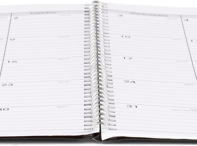 AT-A-GLANCE Academic Planner 2026-2027, Monthly, 8" x 12", 14-Month, DayMinder, Black (AY200)