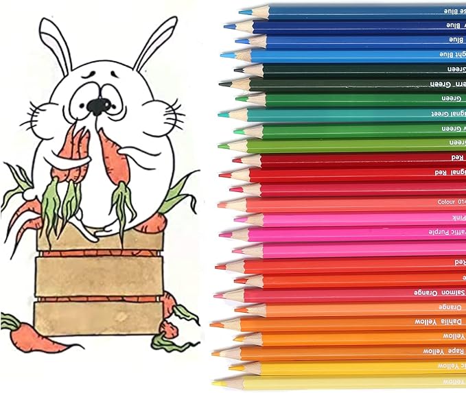 50 Colored Pencils Set with Roll Up Canvas Case for Adult Coloring Books, Drawing, Sketching, Pretty Gift