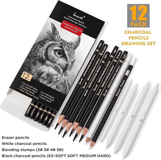 Brusarth Charcoal Drawing Set -12 pc Black charcoal pencils, White Charcoal Pencils, Eraser Pencils, Blending Stumps for Drawing, Sketching, Shading, Artist Pencils for Beginners & Artists