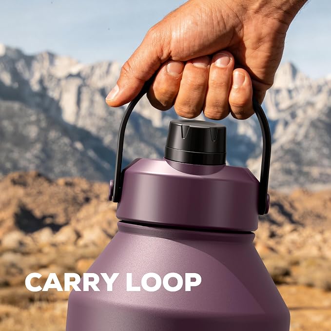 POWCAN 64 oz Insulated Water Bottle with 2-in-1 Straw & Spout Lid, Leakproof, Top Handle, Keep Cold 48H, BPA-Free, Brush, Metal Water Bottle with Carrier Bag for Work, Sports, Travel and Gym (Plum)