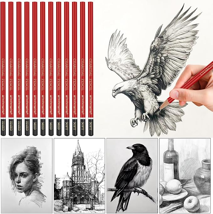 Charcoal Pencils Drawing Set, 12 Pieces Soft, Medium and Hard Black Sketch Charcoal Pencils for Drawing, Sketching, Shading, Blending, Artist Pencils for Beginners & Pro Artists